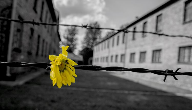 Giorno Della Memoria 2024 - la Città di Ripatransone ricorda le vittime dell’olocausto